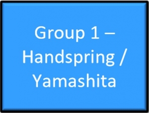 Vault: Group 1 Handsprings