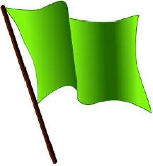 NAWGJ Green Flag Award