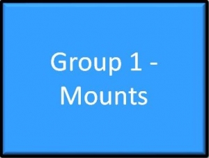Uneven Bars: Group 1 Mounts